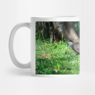 Spotted dove Mug